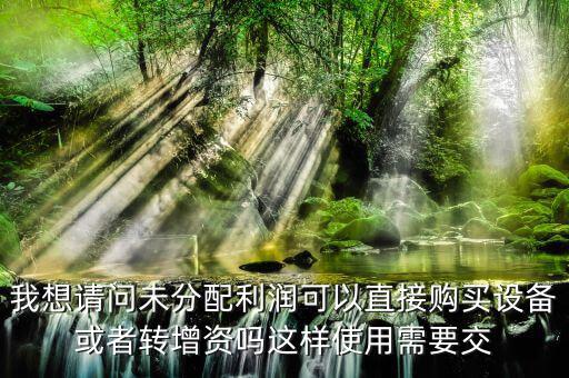 我想請(qǐng)問未分配利潤(rùn)可以直接購(gòu)買設(shè)備或者轉(zhuǎn)增資嗎這樣使用需要交