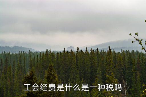 工會(huì)稅是什么，精靈樂(lè)章 工會(huì)抽稅是什么意思要詳細(xì)的