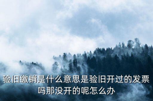 發(fā)票驗(yàn)舊繳銷是什么意思，發(fā)票驗(yàn)舊是什么意思