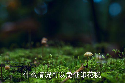 印花稅免稅是什么政策規(guī)定，什么情況可以免征印花稅