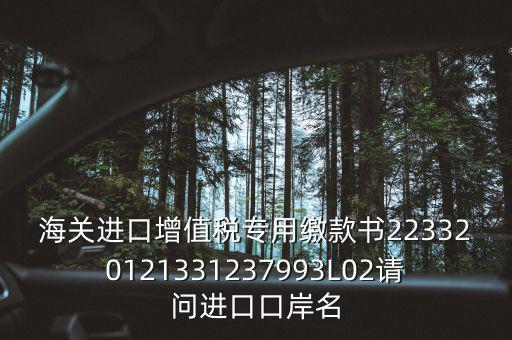 海關(guān)進(jìn)口增值稅專用繳款書223320121331237993L02請(qǐng)問(wèn)進(jìn)口口岸名