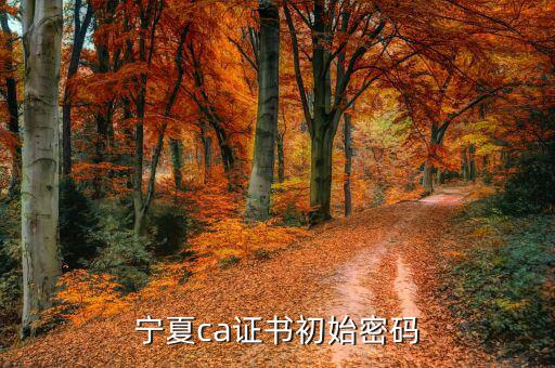 ca的默認(rèn)密碼是什么意思，ca口令是什么