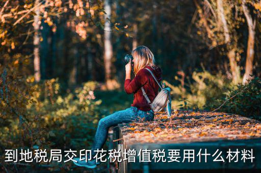 賬簿印花稅去地稅買要帶什么資料，購買印花稅帶什么資料