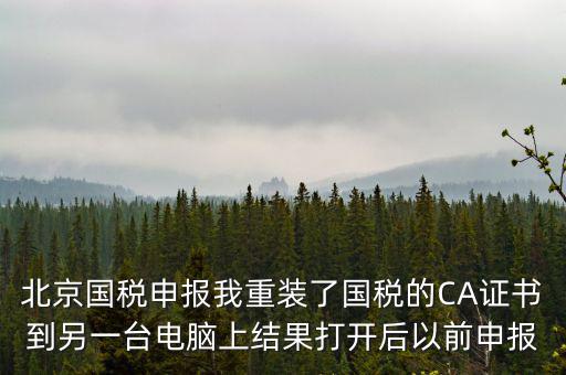 為什么有別的電腦上查不到國稅申報文件，國稅申報能在其他電腦里查看報表打印出來嗎如果不能查看和打