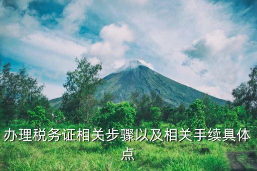辦理稅務證相關(guān)步驟以及相關(guān)手續(xù)具體點