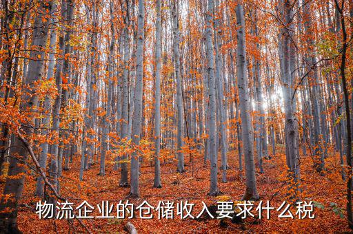 倉(cāng)儲(chǔ)物流公司繳納什么稅，我是會(huì)計(jì)新手 請(qǐng)問(wèn)各位師傅們物流公司應(yīng)繳納什么稅