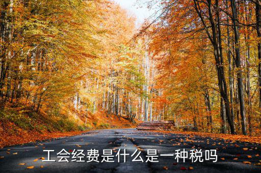 工會(huì)經(jīng)費(fèi)是什么是一種稅嗎