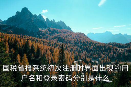 河南省國稅申報系統(tǒng)帳號是什么，請問國稅申報用戶號是什么密碼又是什么