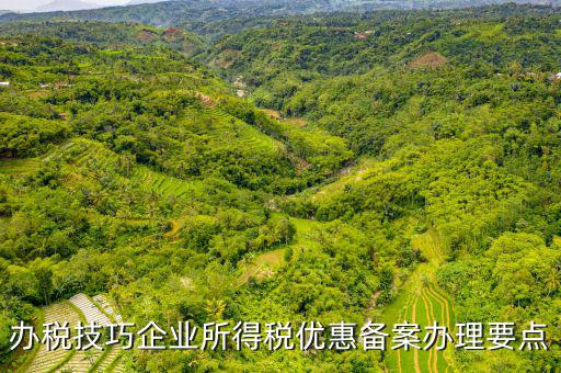 稅收優(yōu)惠事項備案項目是什么，企業(yè)所得稅需備案的事項包括哪些