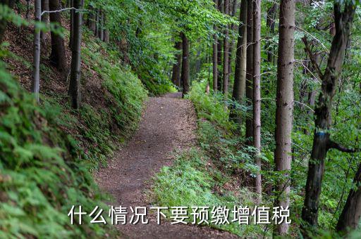 預(yù)繳稅 增值稅 為什么，會(huì)計(jì)中預(yù)交增值稅到底是怎么回事呀