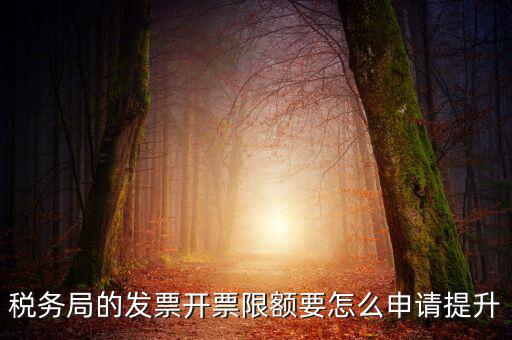 提高開(kāi)票限額申請(qǐng)需要什么資料，去稅務(wù)局增大公司的開(kāi)票限額需要帶些什么我公司第一次開(kāi)票去申
