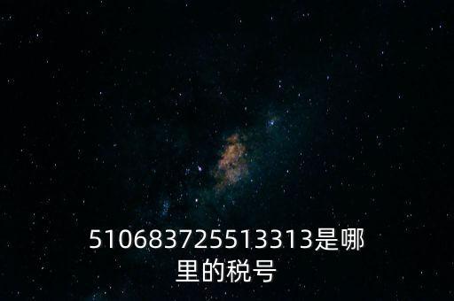 陜西省地方的稅號開頭是什么，510683725513313是哪里的稅號