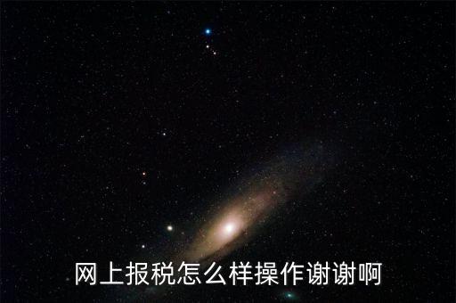 福建企業(yè)在什么網站報稅，網上報稅怎么樣操作謝謝啊