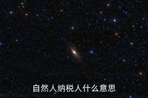 登記稅務(wù)的自然人是什么意思，請(qǐng)問一下自然人登記是什么意思