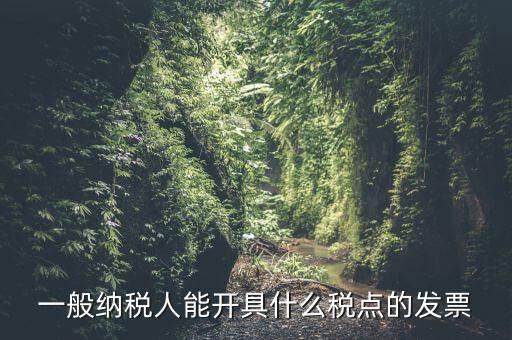 一般納稅人領(lǐng)什么發(fā)票，一般納稅人企業(yè)能開(kāi)具和使用什么類型的發(fā)票