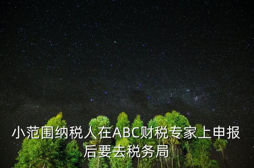 財(cái)稅專家是報(bào)什么稅，小范圍納稅人在ABC財(cái)稅專家上申報(bào)后要去稅務(wù)局
