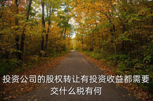 投資公司要交什么稅，投資集團(tuán)公司如何繳稅