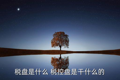 中稅協(xié)安全盤是什么，稅盤是什么 稅控盤是干什么的