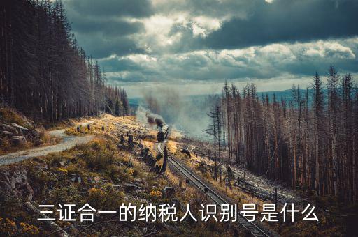 三證合一的稅號是什么，三證合一的納稅人識別號是什么