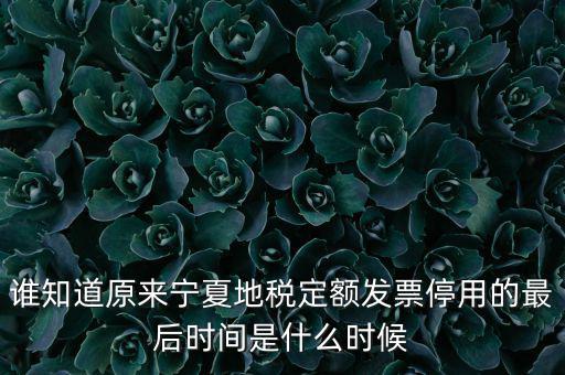 地稅的發(fā)票什么時(shí)候不能用，誰(shuí)知道原來(lái)寧夏地稅定額發(fā)票停用的最后時(shí)間是什么時(shí)候