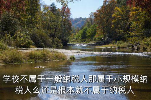學校不屬于一般納稅人那屬于小規(guī)模納稅人么還是根本就不屬于納稅人