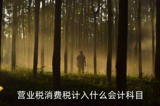 營(yíng)業(yè)稅記什么科目，企業(yè)應(yīng)交營(yíng)業(yè)稅可以記入那個(gè)科目