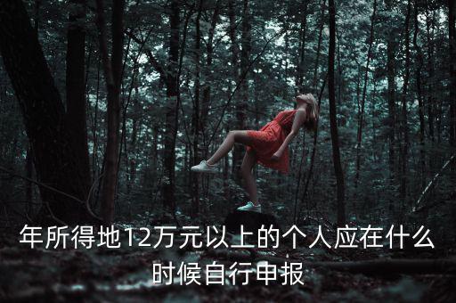 年所得地12萬元以上的個人應在什么時候自行申報