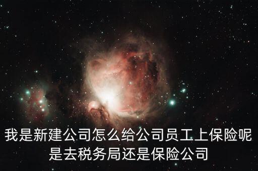 稅務局保險是什么，稅務局讓企業(yè)交得規(guī)費和參保費是什么
