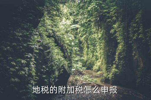 什么是附加稅申報，地稅的附加稅怎么申報