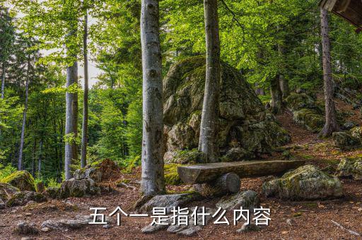 稅務(wù)五個(gè)一指什么意思，稅務(wù)指的是什么