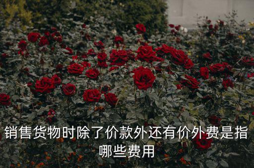什么叫價(jià)外費(fèi)用，屬于價(jià)外費(fèi)用的是什么