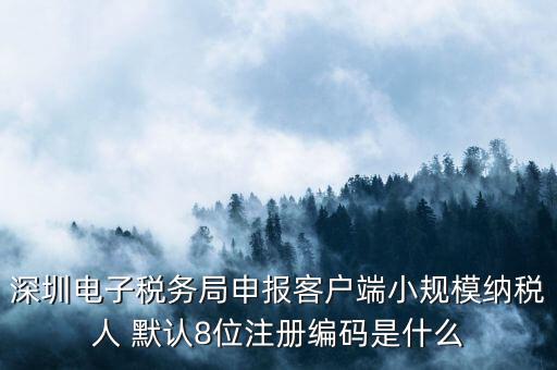 深圳電子稅務(wù)局申報(bào)客戶端小規(guī)模納稅人 默認(rèn)8位注冊編碼是什么