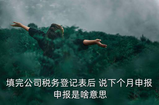 納稅登記表是什么意思，填完公司稅務(wù)登記表后 說下個(gè)月申報(bào) 申報(bào)是啥意思