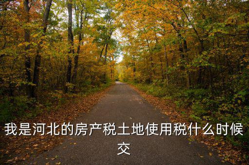 河北地稅申報(bào)后什么時(shí)候繳費(fèi)，我是河北的房產(chǎn)稅土地使用稅什么時(shí)候交