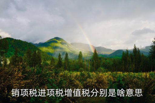 什么是銷(xiāo)項(xiàng)和進(jìn)項(xiàng)，進(jìn)項(xiàng)稅和銷(xiāo)項(xiàng)稅是什么意思