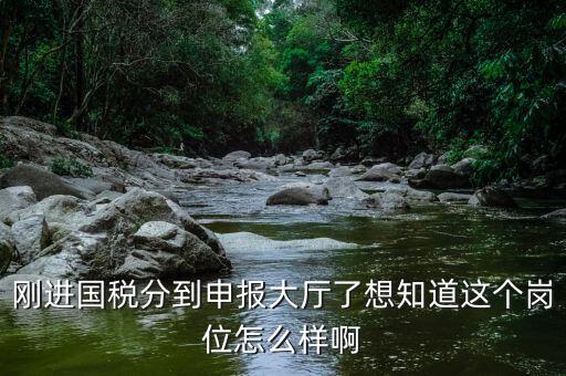 國(guó)稅局新進(jìn)人員一般分到什么崗位，國(guó)稅局 工作人員需要哪些專業(yè)職稱