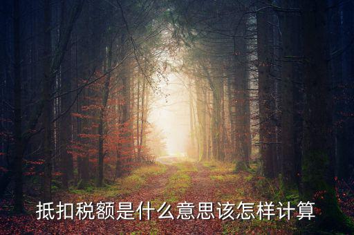 抵免稅額是什么意思，抵扣稅額是什么意思該怎樣計(jì)算