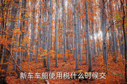新車(chē)什么時(shí)候交車(chē)船稅，新車(chē)車(chē)船使用稅什么時(shí)候交
