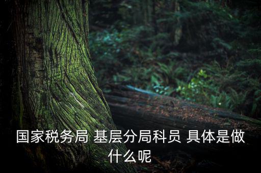 國地稅征管改革黨員干部干什么，國家稅務(wù)局 基層分局科員 具體是做什么呢