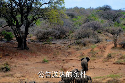 稅務(wù)局公告送達(dá)需要什么條件，公告送達(dá)的條件
