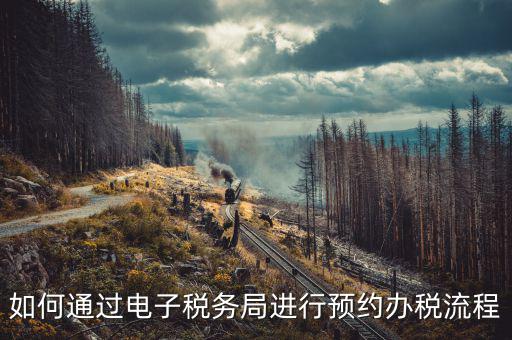 國稅局預(yù)約有什么，拿金稅盤去國稅前臺弄要預(yù)約嗎
