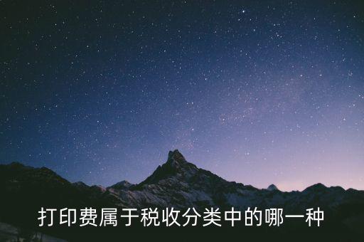 打字復(fù)印是什么稅種，我在鄉(xiāng)鎮(zhèn)辦了一家打字復(fù)印店請問需交納哪些稅