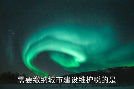 城市維護建設(shè)稅什么行業(yè)報，需要繳納城市建設(shè)維護稅的是