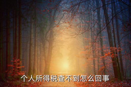 個人所得稅扣減為什么查不到，個人所得稅為什么不能在網(wǎng)上查找
