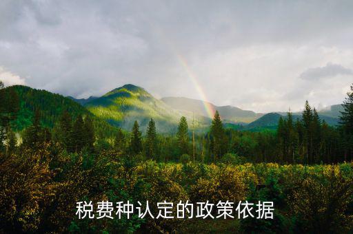 什么是稅費(fèi)種認(rèn)定信息查詢，稅費(fèi)種認(rèn)定信息在哪里查看