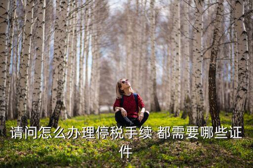 停供發(fā)票需要注意什么手續(xù)，停國稅要怎么辦理 要什么手續(xù)