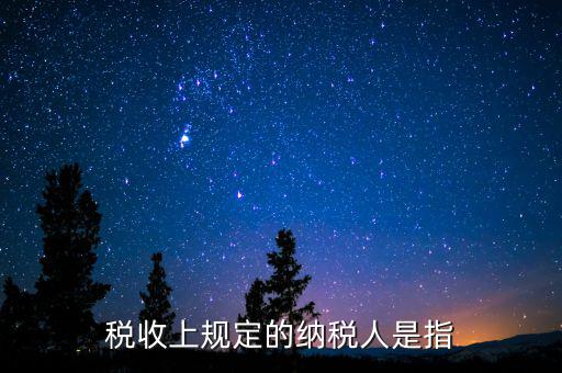 什么人是納稅人，納稅人的定義的什么