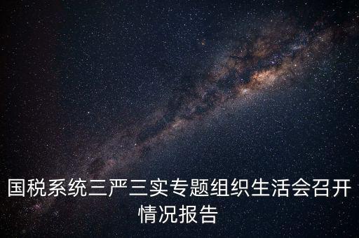 國(guó)稅系統(tǒng)三嚴(yán)三實(shí)專題組織生活會(huì)召開情況報(bào)告