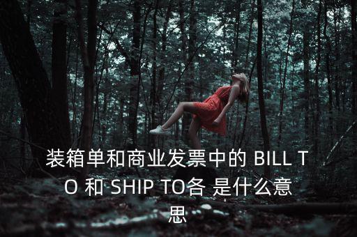 發(fā)票中b o是什么意思，在形式發(fā)票中Merrs是什么意思啊