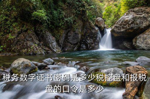 國(guó)稅開(kāi)票軟件的稅務(wù)證書密碼是什么，稅務(wù)數(shù)字證書密碼是多少稅控盤和報(bào)稅盤的口令是多少
